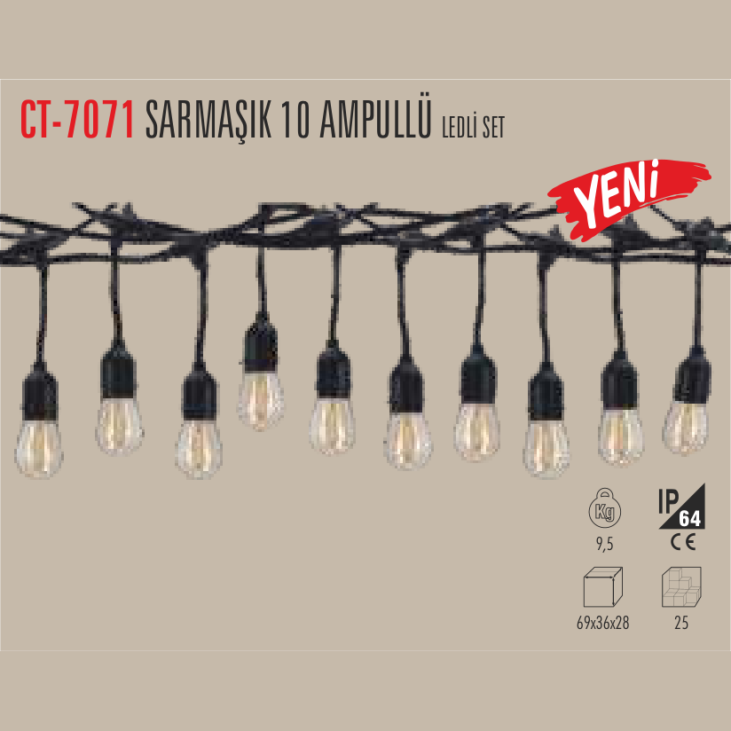 CATA Sarmaşık 10 Ampullü LED Set
