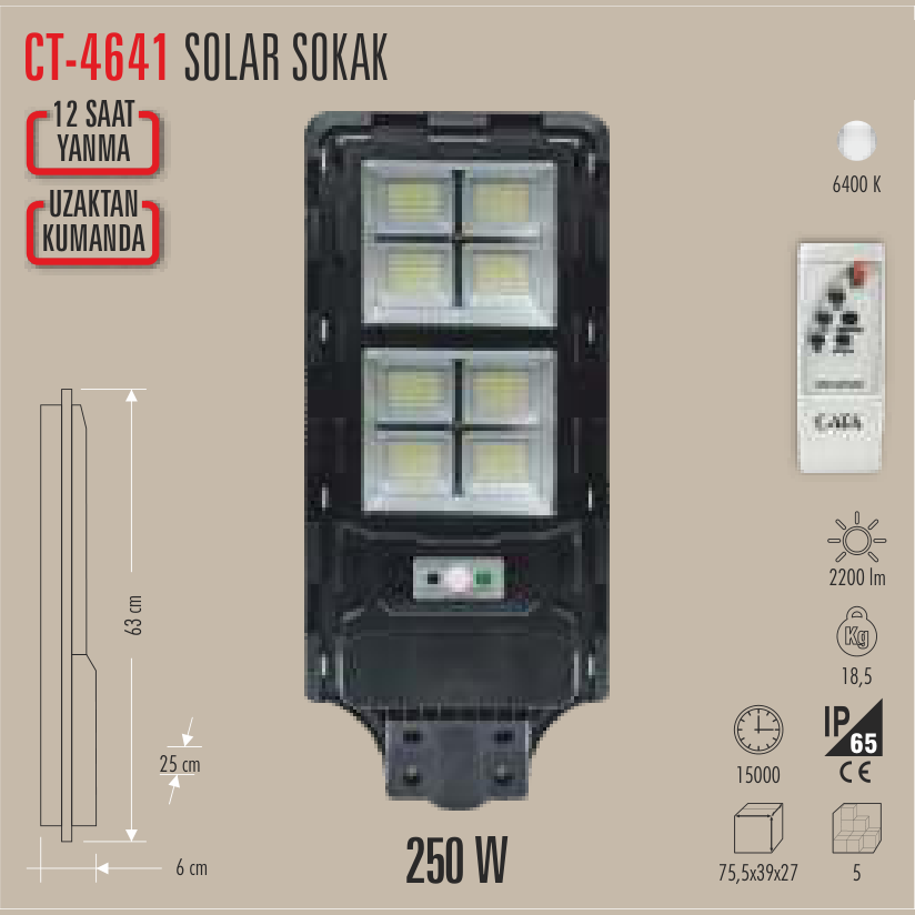 CATA Solar Sokak Lambası 250W