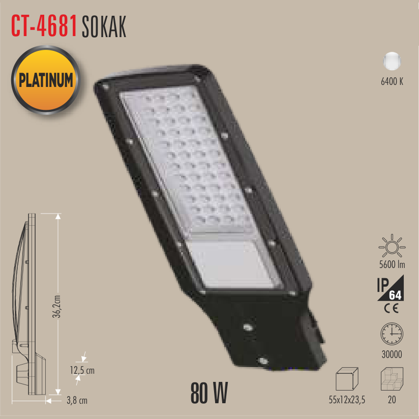 CATA Platinum Sokak Armatürü 80W