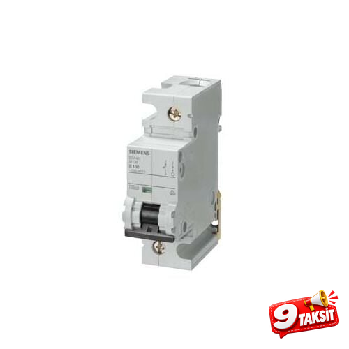 10kA 1 Kutup + Nötr 100A C Tipi Otomatik Sigorta